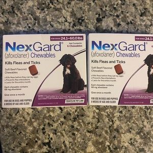 Nexgard 2 6 month packs